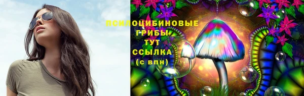 наркотики Заводоуковск