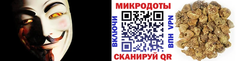 Купить закладки  Борзя  Галлюциногенные грибы прущие грибы 